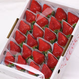 徳島佐那河内産さくらももいちご化粧箱【AA】20~28粒入