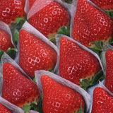 徳島佐那河内産さくらももいちご化粧箱【AA】20~28粒入