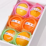 冬のおいしい柑橘セット 1月ver. A