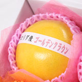 冬のおいしい柑橘セット 1月ver. A