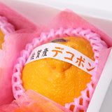 冬のおいしい柑橘セット 1月ver. A