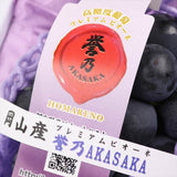 岡山赤坂産プレミアムピオーネ【誉乃AKASAKA】1房化粧箱入