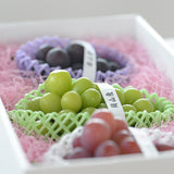 秋の味覚 旬のぶどう食べ比べセット