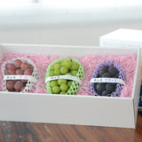 秋の味覚 旬のぶどう食べ比べセット