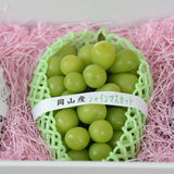 秋の味覚 旬のぶどう食べ比べセット