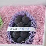 秋の味覚 旬のぶどう食べ比べセット