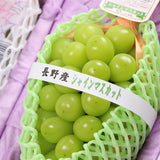 長野産 シャインマスカット & 徳島佐那河内産 さくらももいちご アソート