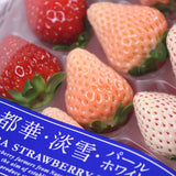 奈良産三種ブランドいちご【秀品】1P化粧箱入