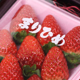 和歌山産まりひめ& 奈良産三種ブランドいちごアソート