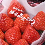 和歌山産まりひめ&福岡産あまおう アソート