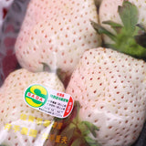 幻の白いちご 佐賀産天使の実 DX(デラックス)