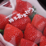 福岡産 あまおうDX&奈良産 淡雪 アソート