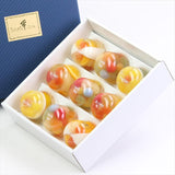 たかはたファーム ミックスゼリー 9個セット