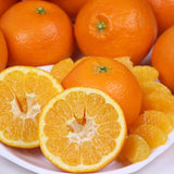 愛媛産熟成いよかん「弥生紅(やよいべに)」【赤秀品】 10キロ産地箱入