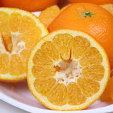 愛媛産熟成いよかん「弥生紅(やよいべに)」【赤秀品】 10キロ産地箱入