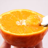 和歌山ゆら産セミノール【最上位等級5星】5㎏化粧箱入