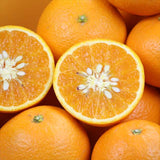 和歌山産木成り完熟 清見オレンジ320 10㎏産地箱入