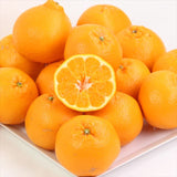 和歌山産・愛媛産など はるみ【赤秀品】5キロ産地箱入