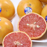 フロリダ産グレープフルーツ【プリティウーマン】希少種レイルビー6玉化粧箱入