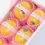 フロリダ産グレープフルーツ【プリティウーマン】希少種レイルビー6玉化粧箱入