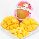 ペルー産アップルマンゴー 1玉化粧箱入
