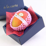 ペルー産アップルマンゴー 1玉化粧箱入