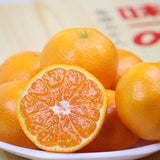 有田産 味一α(アルファー) 【秀品】Mサイズ 48玉入