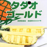 沖縄産パイン ゴールドバレル種 玉城忠男さんの【タダオゴールド】 1玉 2㎏