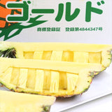 沖縄産パイン ゴールドバレル種 玉城忠男さんの【タダオゴールド】 1玉 2㎏