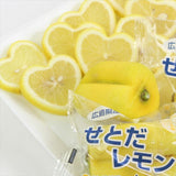 広島瀬戸田産 ハートレモン 10個入化粧箱【贈答用】