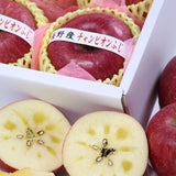 長野産チャンピオンふじ【特秀品】6玉化粧箱入