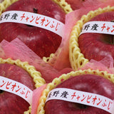 長野産チャンピオンふじ【特秀品】6玉化粧箱入
