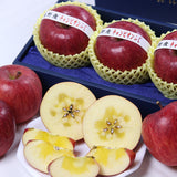 長野産チャンピオンふじ【特秀品】3玉入