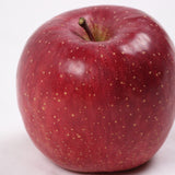 長野産チャンピオンふじ【特秀品】3玉入