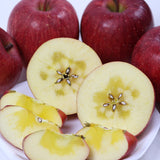 長野産チャンピオンふじ【特秀品】3玉入
