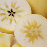 岩手産いわて純情プレミアム冬恋 産地化粧箱入