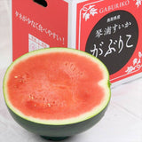 鳥取産東伯黒皮スイカ がぶりこすいか 【秀品】1玉産地箱入 11㎏