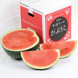 鳥取産東伯黒皮スイカ がぶりこすいか 【秀品】1玉産地箱入 11㎏