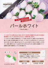 和歌山産まりひめ&奈良産パールホワイト アソート