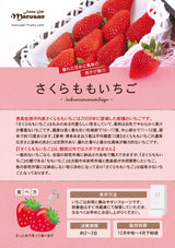 徳島佐那河内産さくらももいちご化粧箱【AA】20~28粒入