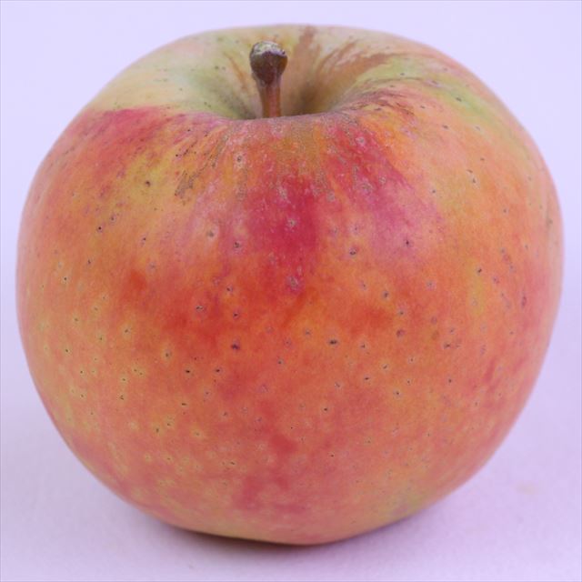 長野産ムーンルージュ【秀品】9玉化粧箱入