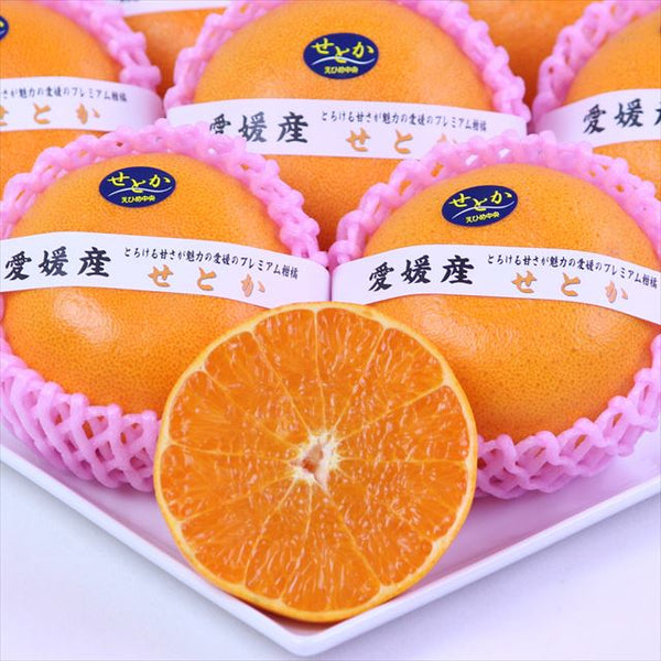 愛媛中央産せとか【赤秀品】9玉化粧箱入 – フルーツギフト マルサン