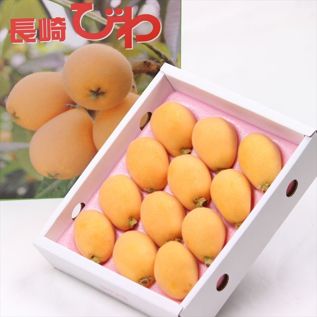 【５月販売】長崎産温室茂木びわ【赤秀品】 産地化粧箱入