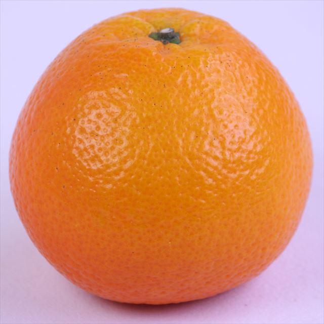 愛媛産宮内いよかん【赤秀品】9玉化粧箱入
