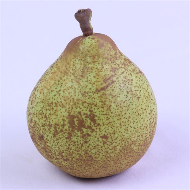 青森産ゼネラルレクラーク【秀品】6玉化粧箱入