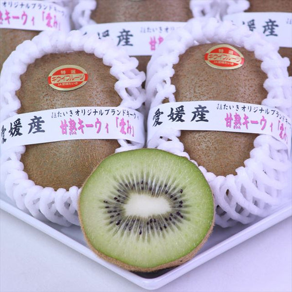 愛媛JAたいき産甘熟キーウィ「愛み(まなみ)キーウィ」産地化粧箱入