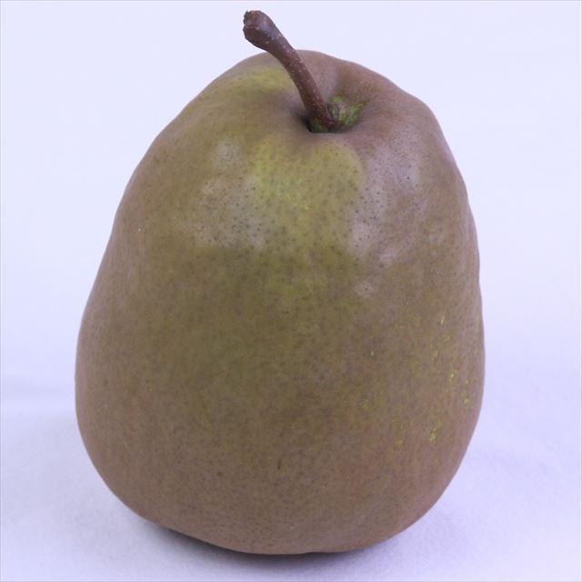 山形産メロウリッチ【秀品】6玉化粧箱入