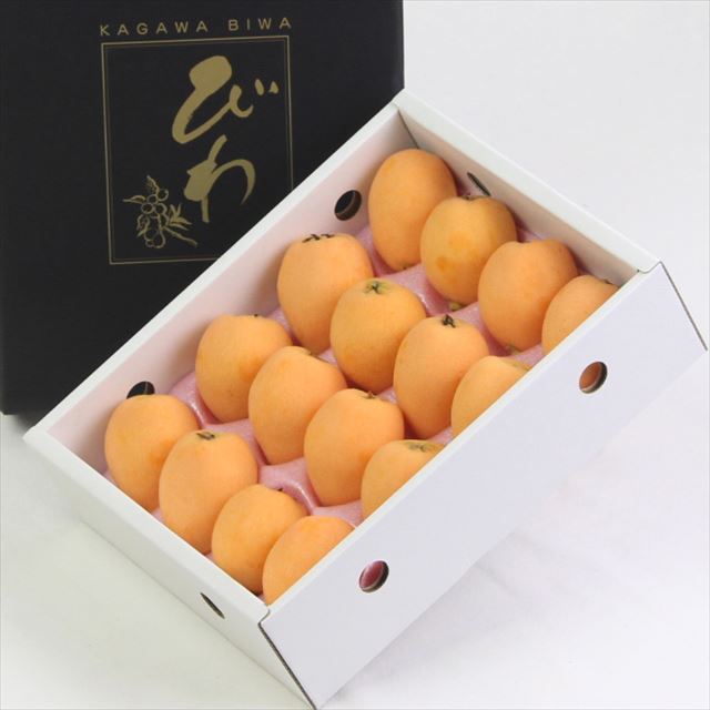 【5月販売】香川産　陽玉(ようぎょく)びわ　【赤秀品】 産地化粧箱入