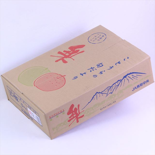 鳥取産露地二十世紀梨【赤秀品】玉産地箱入
