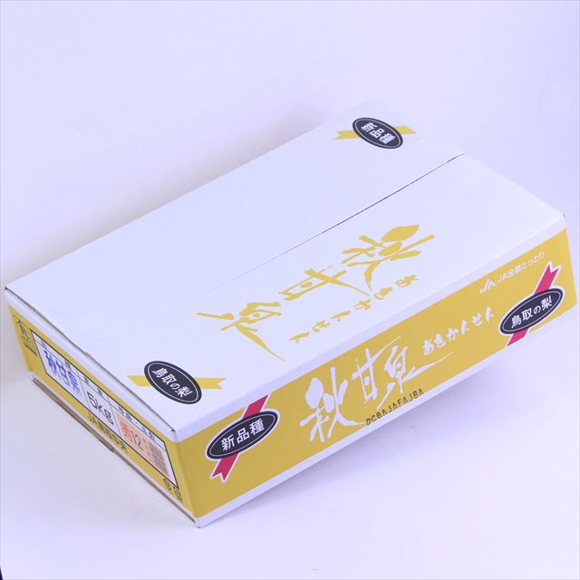 鳥取産秋甘泉(あきかんせん)【赤秀品】12～14玉産地箱入
